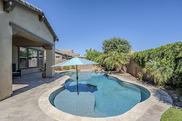 view of pool featuring a fenced backyard and a patio area