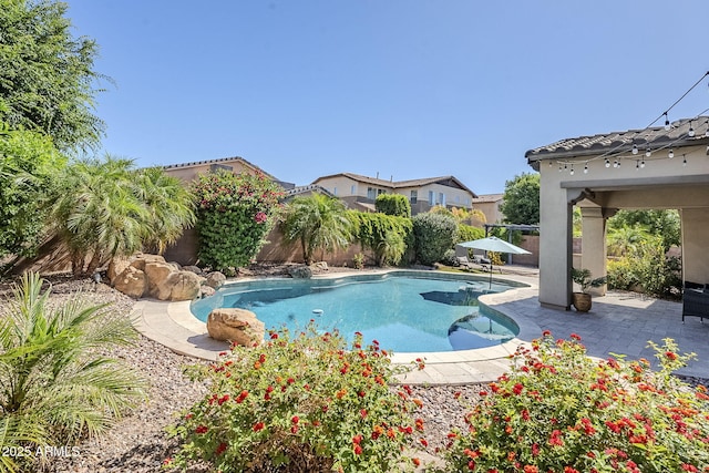 view of swimming pool featuring a patio and a fenced backyard
