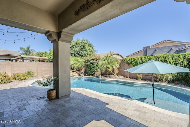 view of swimming pool featuring a patio area and a fenced backyard