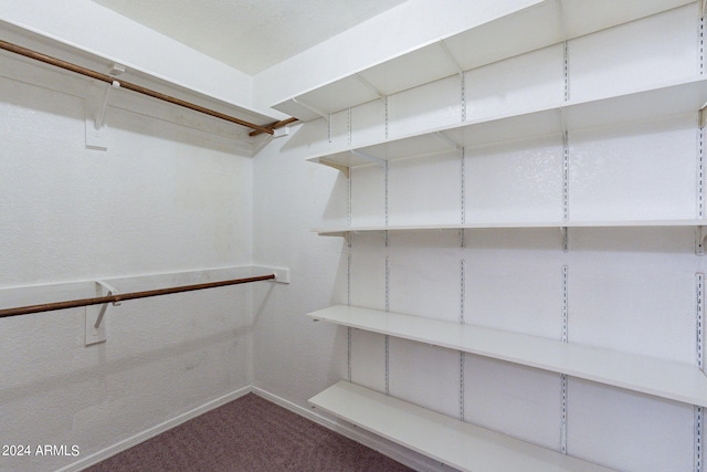 spacious closet featuring carpet