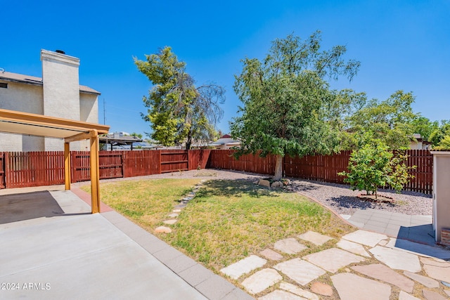 view of yard with a patio area and a fenced backyard