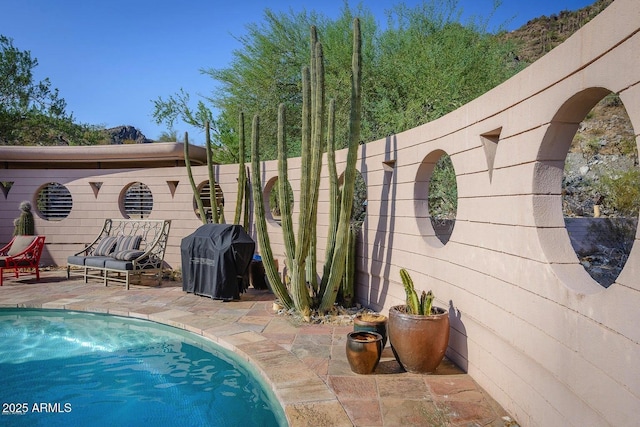 view of pool with a patio and area for grilling