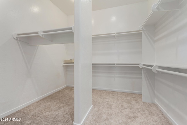 walk in closet with light carpet