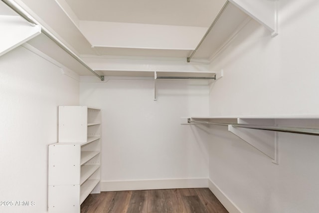 spacious closet with dark wood finished floors