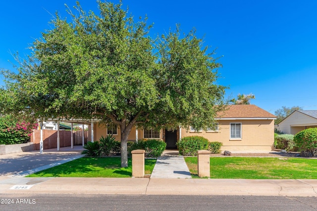 obstructed view of property with a front lawn