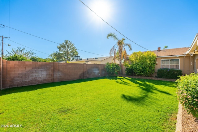 view of yard