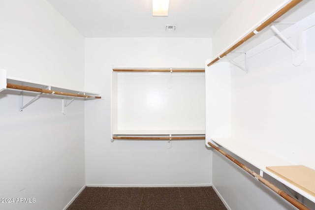 spacious closet featuring carpet flooring