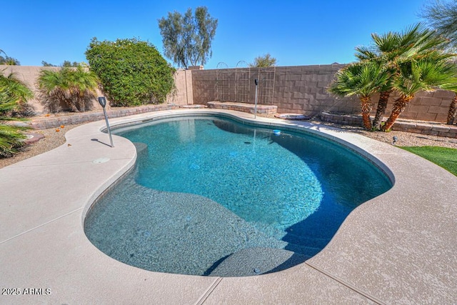 view of swimming pool featuring a fenced in pool and a fenced backyard