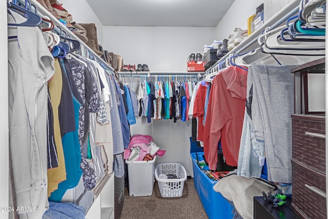 spacious closet with carpet