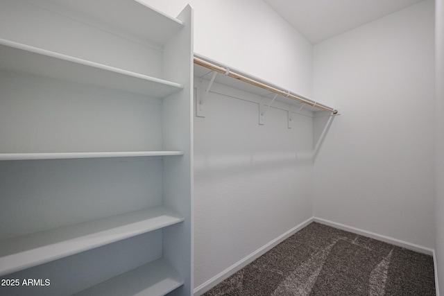 19320 N Diego Way, Maricopa, AZ 85138 - walk in closet with dark colored carpet