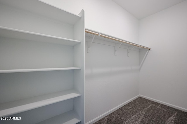 19320 N Diego Way, Maricopa, AZ 85138 - walk in closet with dark colored carpet