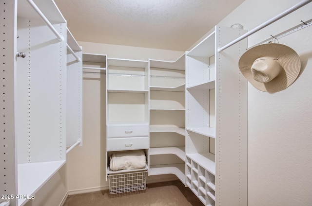 8355 E Via De Los Libros, Scottsdale, AZ 85258 - spacious closet with carpet floors