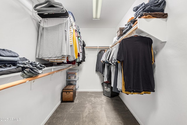 walk in closet featuring carpet