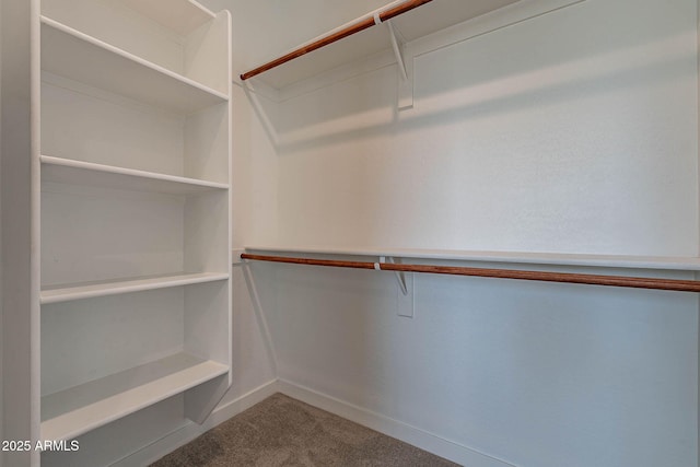 spacious closet featuring carpet floors