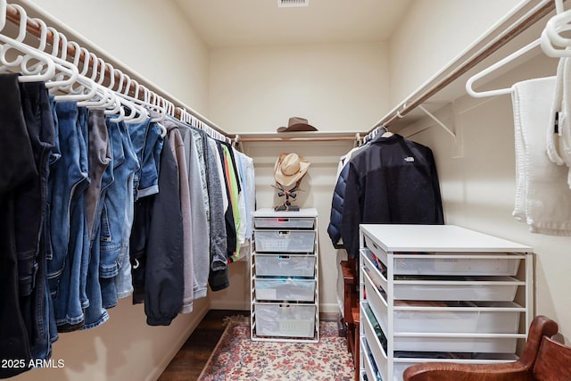 1604 W Beech Pkwy, Payson, AZ 85541 - spacious closet with wood finished floors