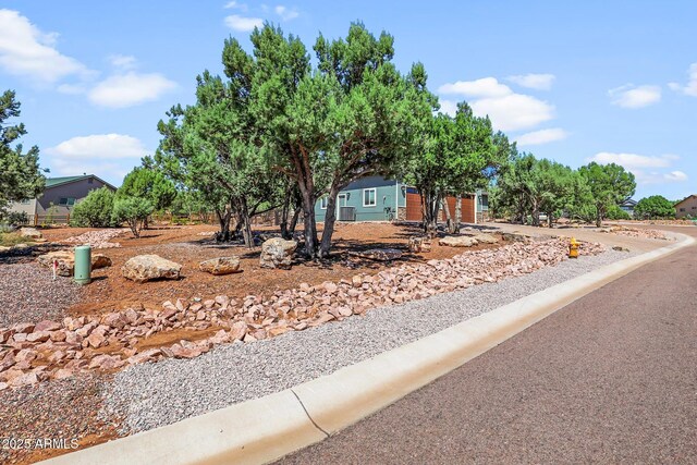 1604 W Beech Pkwy, Payson, AZ 85541 - view of obstructed view of property
