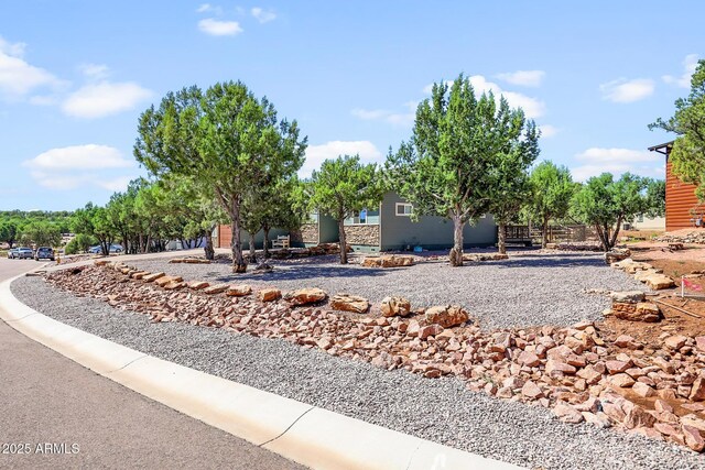 1604 W Beech Pkwy, Payson, AZ 85541 - view of yard
