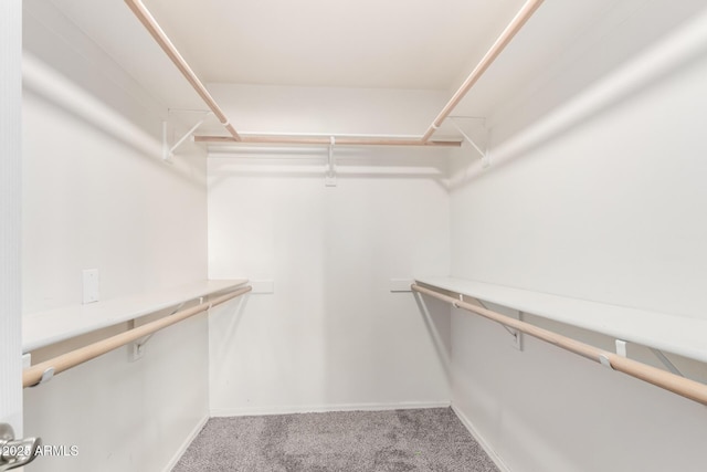 1730 W Adamanda Ct, Phoenix, AZ 85086 - walk in closet featuring carpet