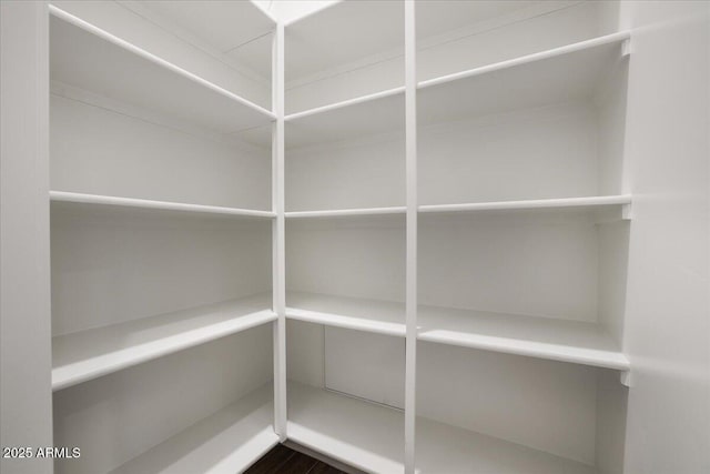 1717 E Morten Ave Unit 2, Phoenix, AZ 85020 - view of pantry
