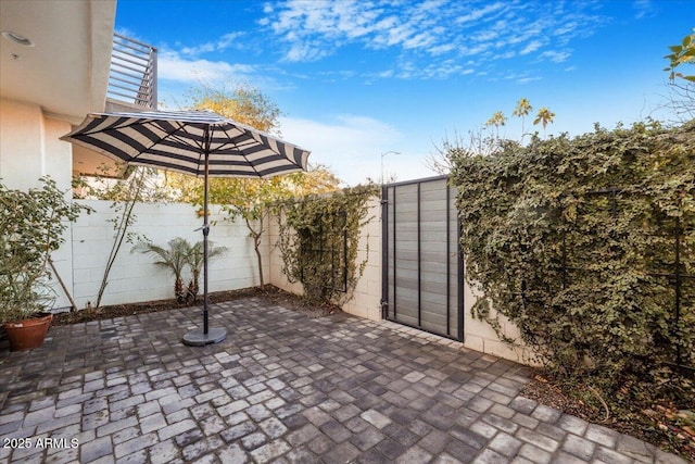 1717 E Morten Ave Unit 2, Phoenix, AZ 85020 - view of patio