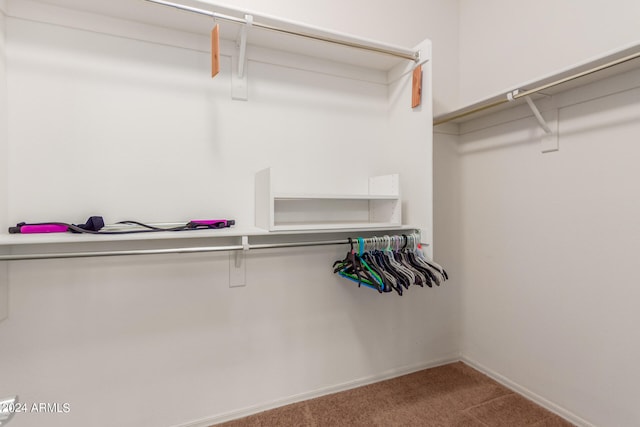 spacious closet with carpet floors