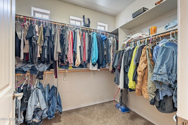 walk in closet featuring carpet flooring