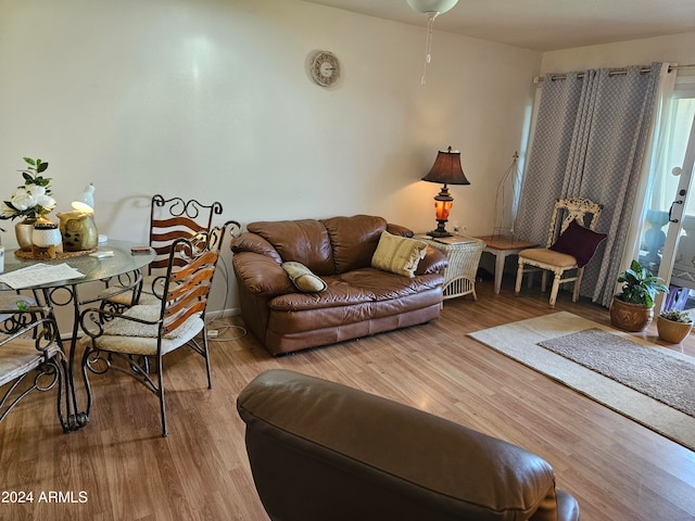 living room featuring wood-type flooring