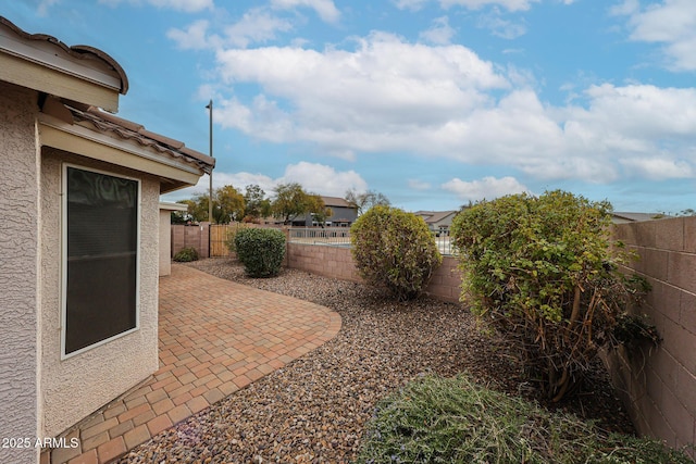 view of yard featuring a patio area