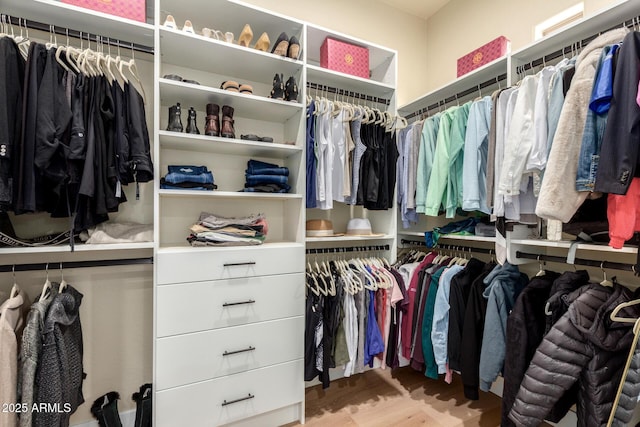 spacious closet featuring wood finished floors