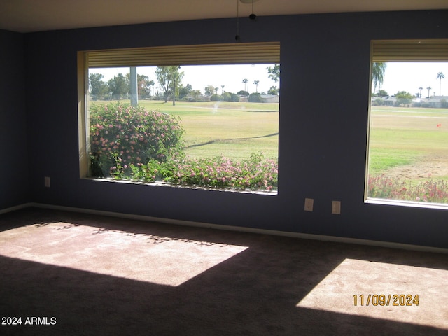 spare room featuring carpet flooring and a wealth of natural light