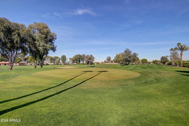 view of home's community with a yard