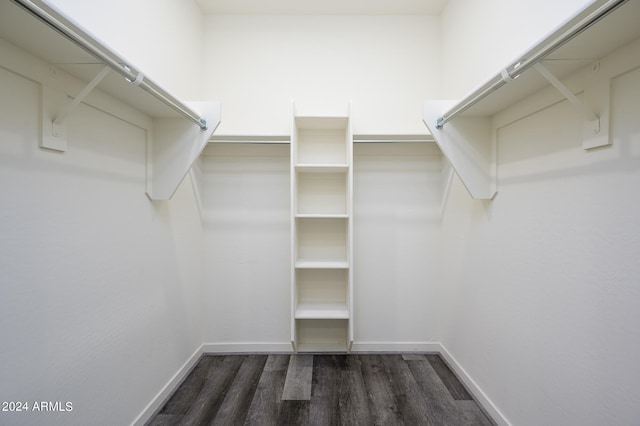 spacious closet with dark wood-type flooring