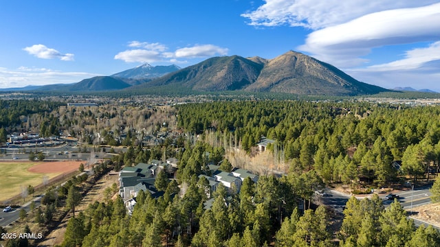 4435 E Savannah Cir, Flagstaff, AZ 86004 - mountain view with a wooded view