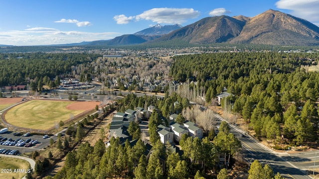 4435 E Savannah Cir, Flagstaff, AZ 86004 - birds eye view of property with a mountain view and a wooded view