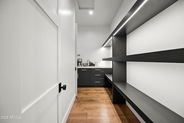 spacious closet featuring light wood-type flooring and a bar