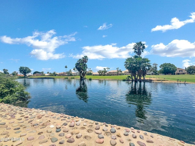 6368 W Firebird Dr, Glendale, AZ 85308 - water view