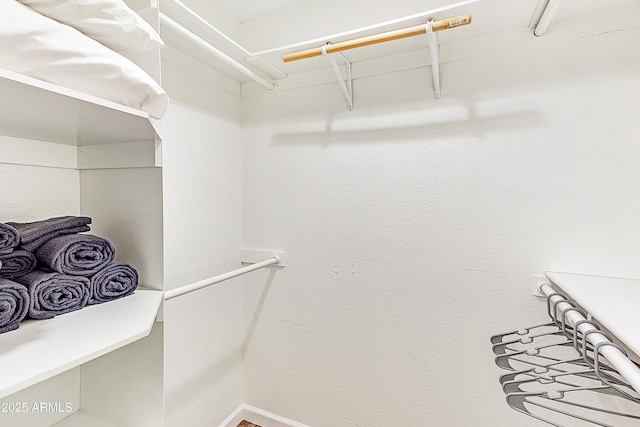view of walk in closet