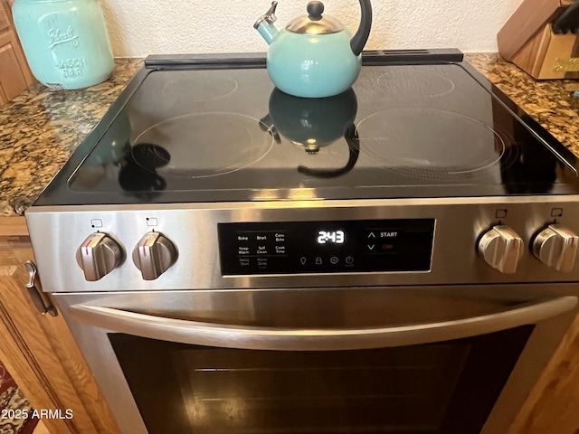 room details featuring stainless steel electric stove and stone counters