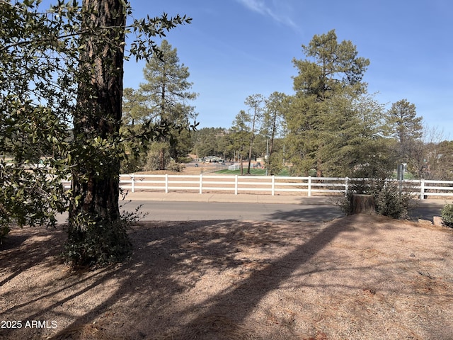 view of yard with a rural view