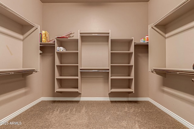 spacious closet featuring carpet