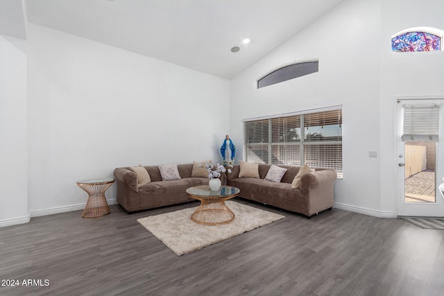 living room featuring hardwood / wood-style floors and high vaulted ceiling