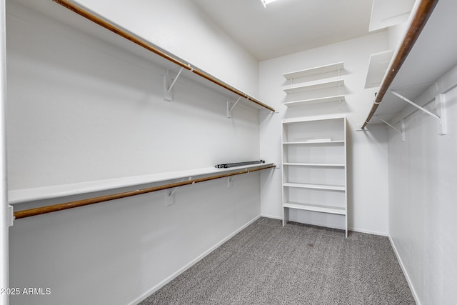 6742 W El Cortez Pl, Peoria, AZ 85383 - walk in closet with carpet floors