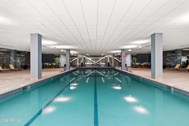 view of pool featuring a patio area