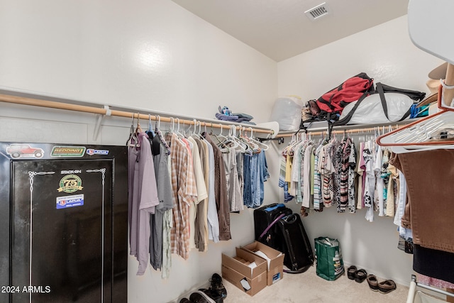 spacious closet featuring carpet