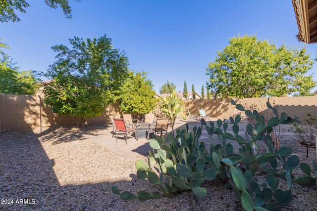 view of yard with a patio area