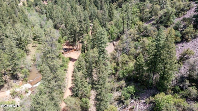 5175 N Bear Flat Rd Unit 141B, Payson, AZ 85541