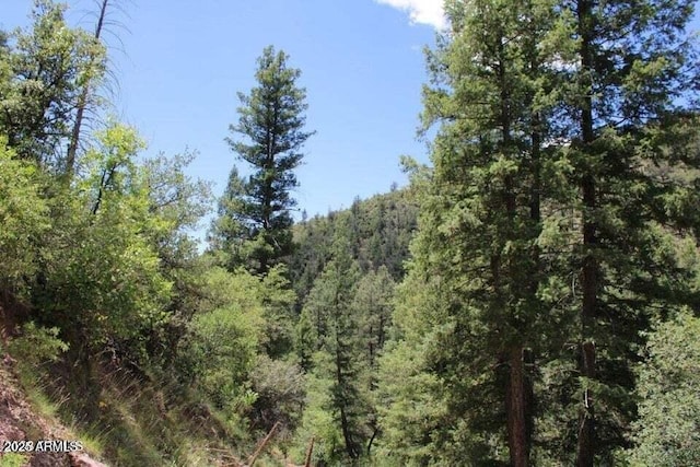 5175 N Bear Flat Rd Unit 141B, Payson, AZ 85541