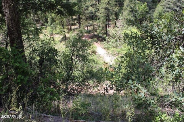 5175 N Bear Flat Rd Unit 141B, Payson, AZ 85541