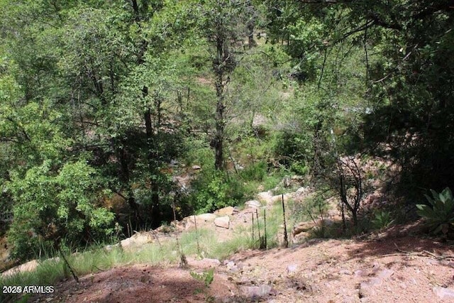 5175 N Bear Flat Rd Unit 141B, Payson, AZ 85541