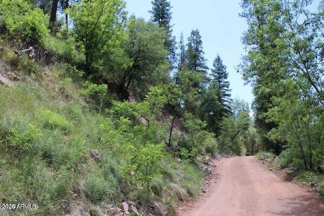 5175 N Bear Flat Rd Unit 141B, Payson, AZ 85541